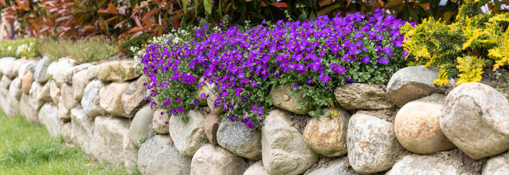 stones and flower